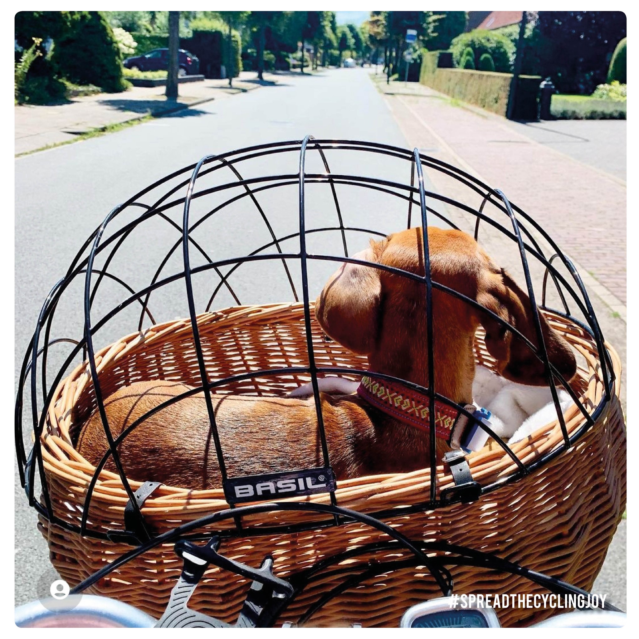 bicicletas eléctricas para mayores - URBAN ZERO