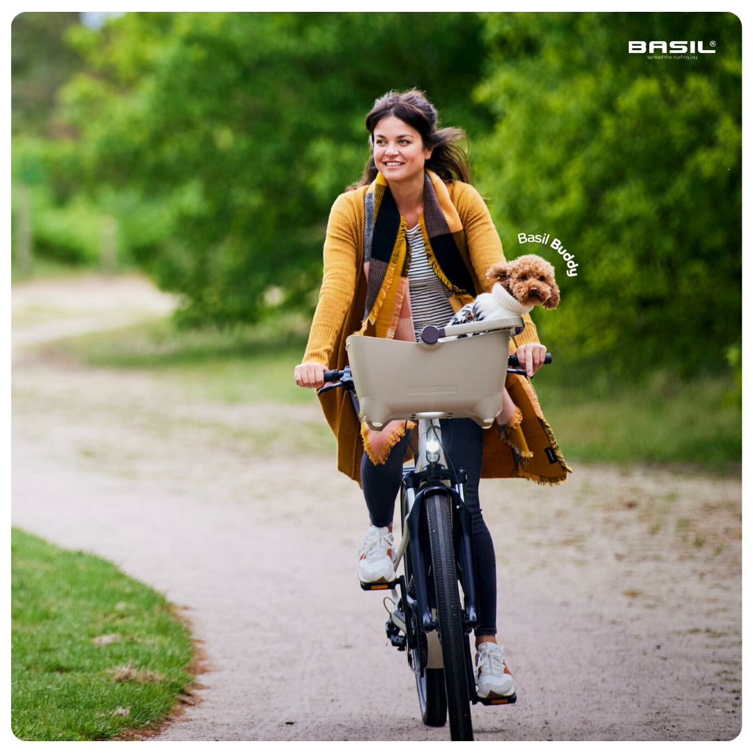 llevar tu perro en bicicleta eléctrica