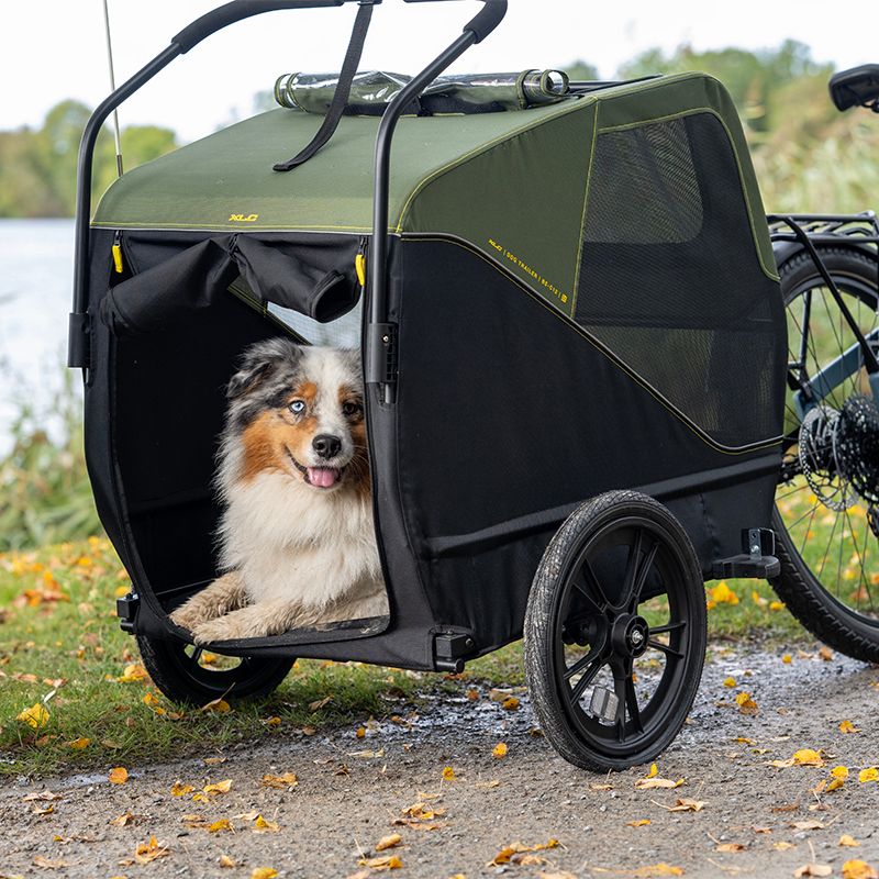 remolque perros bicicleta eléctrica