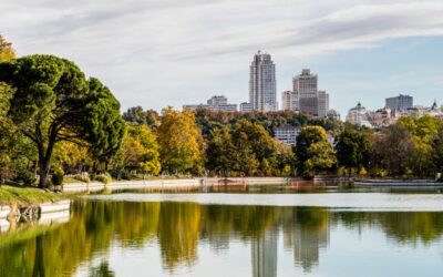 Descubre las Mejores Rutas Ciclistas en la Casa de Campo de Madrid